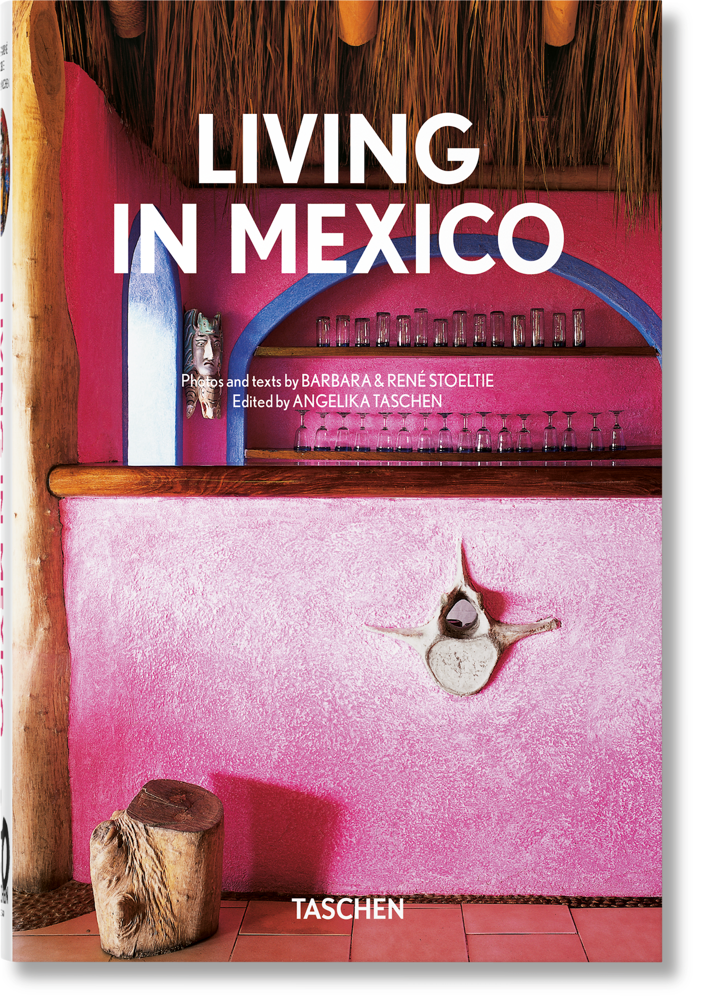 LIVING IN MEXICO 40th Ed